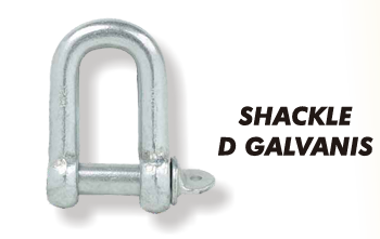 Shackle D Galvanis Sagas 5/8