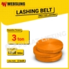 Lashing Belt